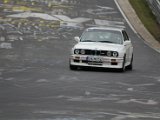 2013_GLP5_583.JPG