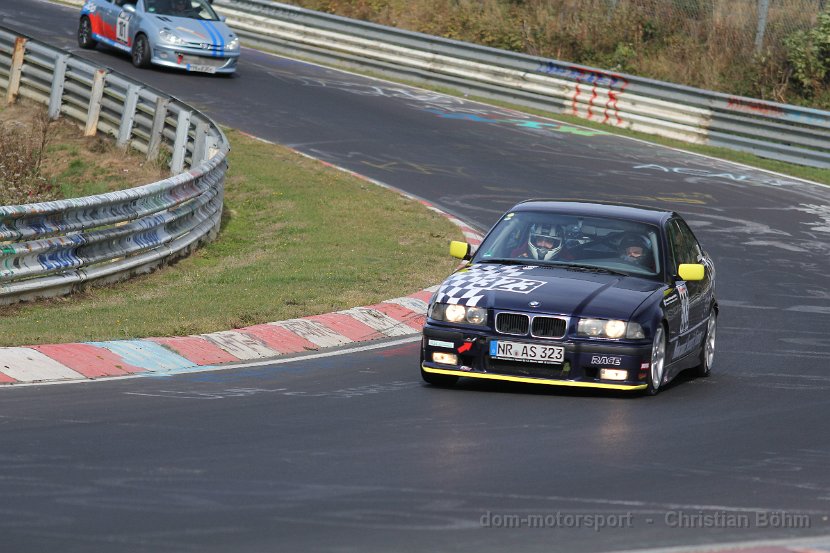 2013_GLP7_491