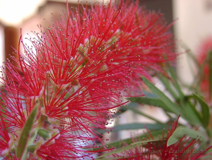 2010_Tansania_1021