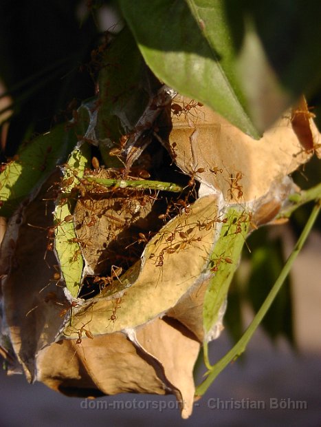 2010_Tansania_1034
