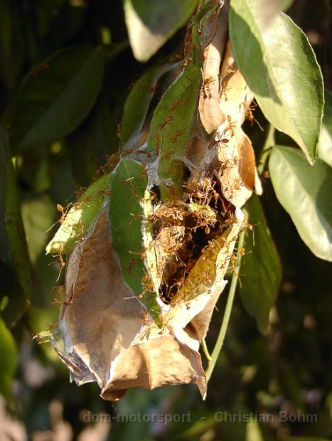 2010_Tansania_1035