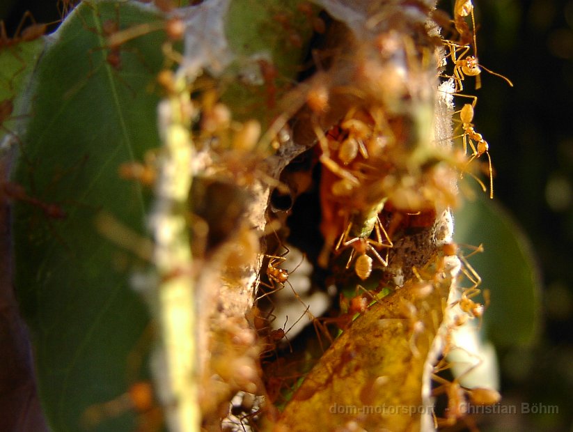 2010_Tansania_1037