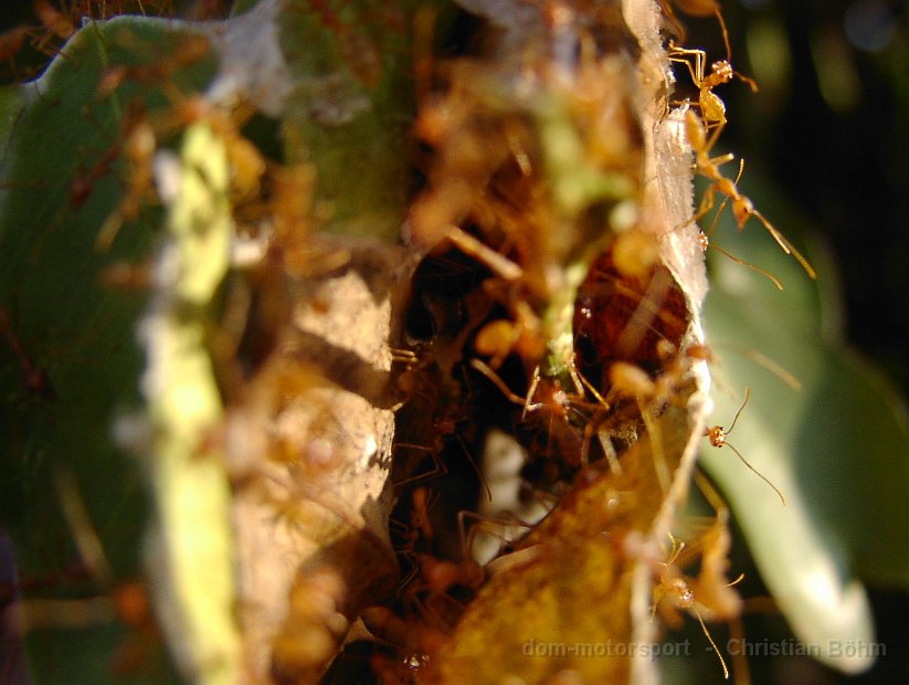 2010_Tansania_1038