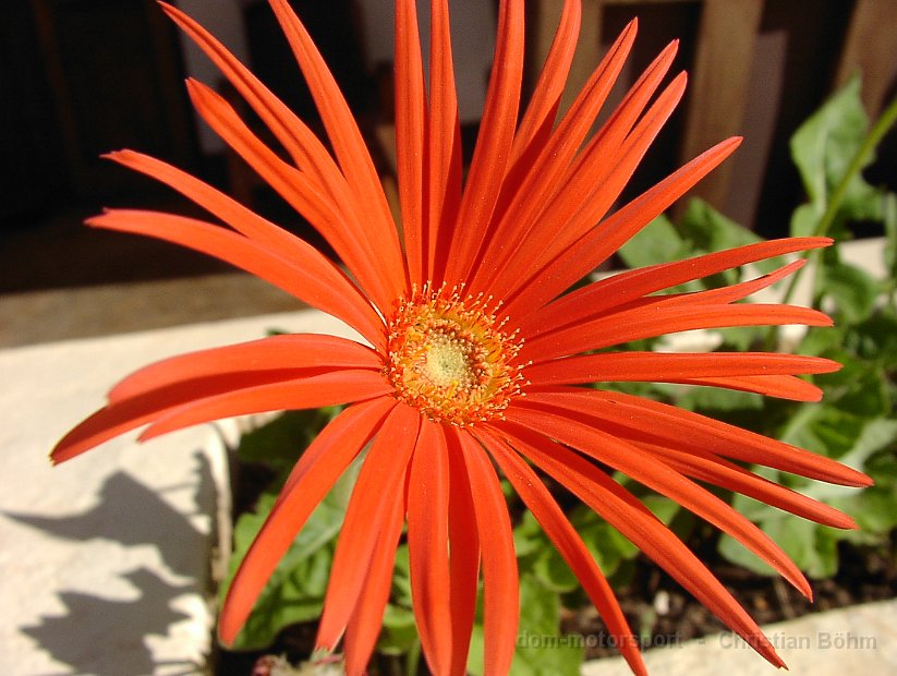 2010_Tansania_1206