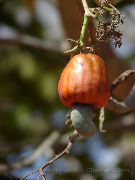 2010_Tansania_1254