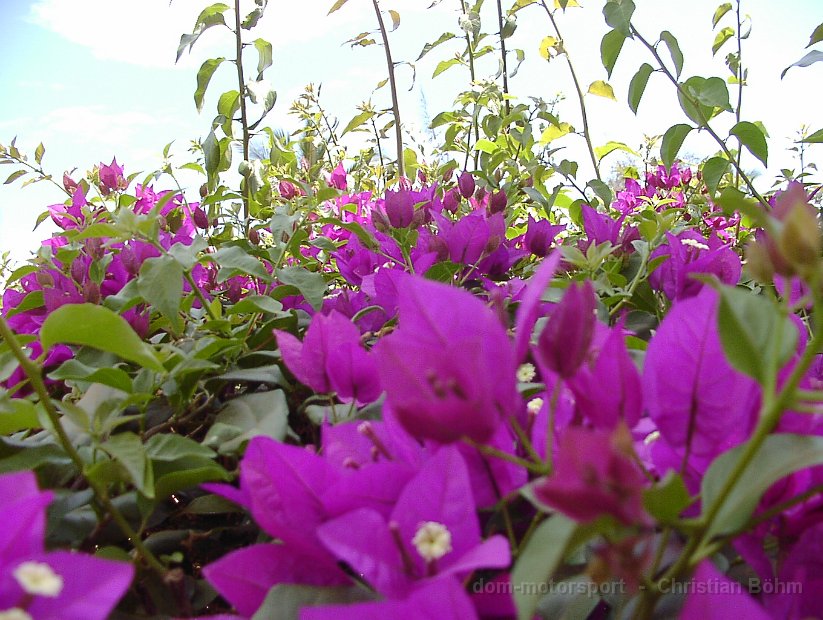 2010_Tansania_1296