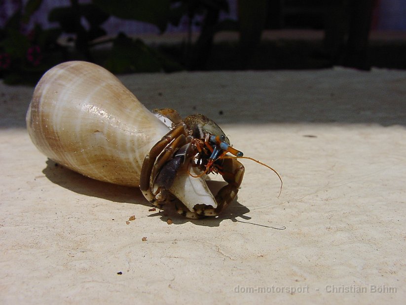 2010_Tansania_1433
