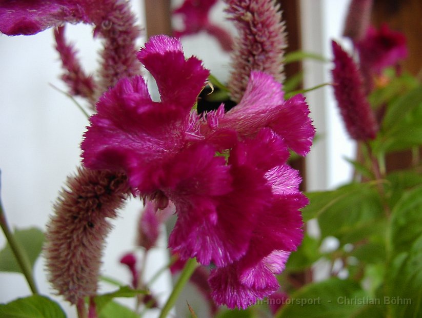 2010_Tansania_541