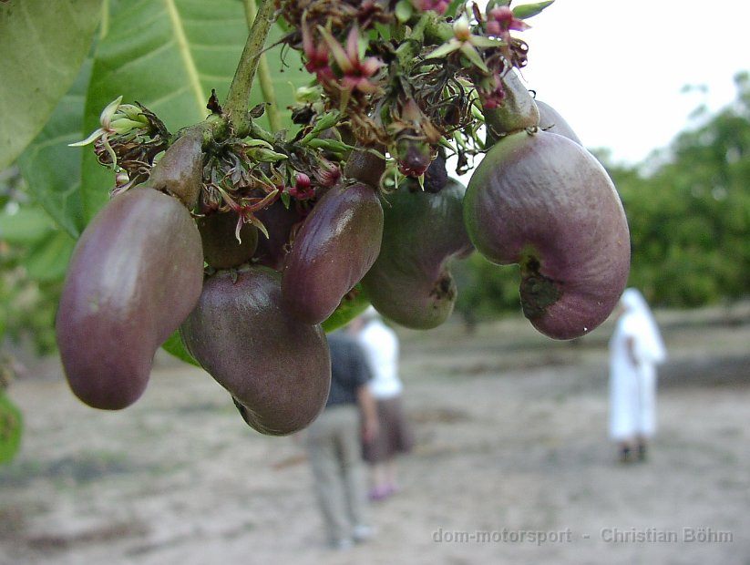 2010_Tansania_627