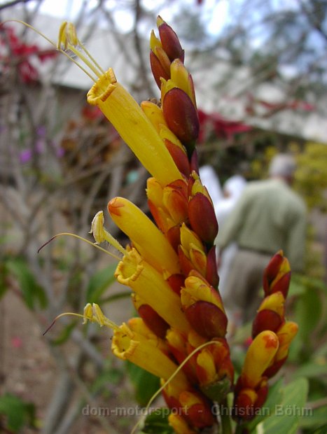 2010_Tansania_992