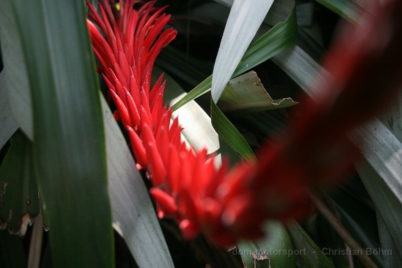 2015_Indonesien_002