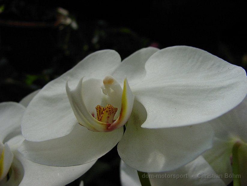 2015_Indonesien_006