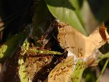 2010_Tansania_1034.jpg