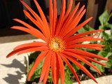 2010_Tansania_1206.jpg