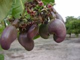 2010_Tansania_626.jpg