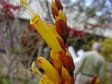2010_Tansania_992.jpg