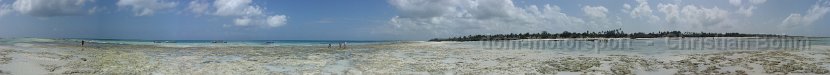 2011_Tansania_Sansibar_Bucht_Delfin