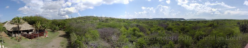 2013_Straussenfarm1