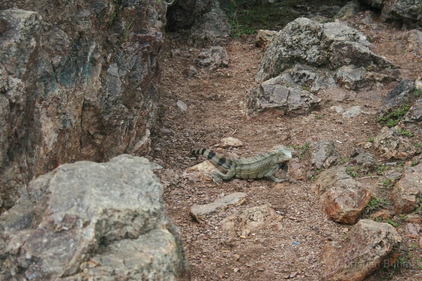 2013_Curacao_gesamt_0132
