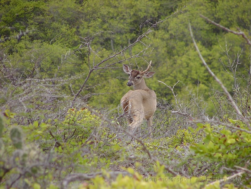 2013_Curacao_gesamt_0086