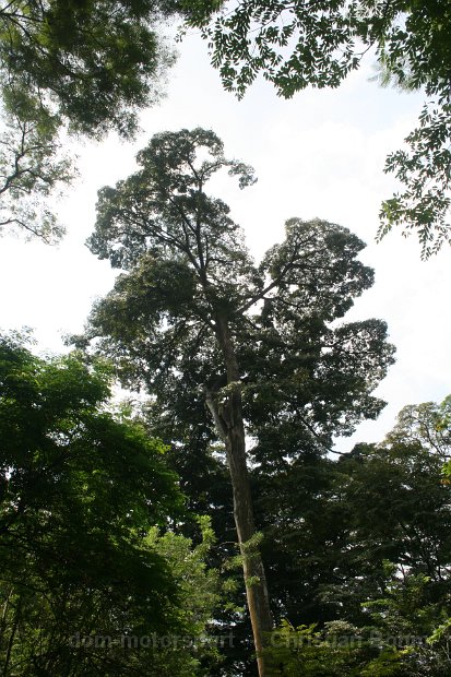 2015_Indonesien_03_018