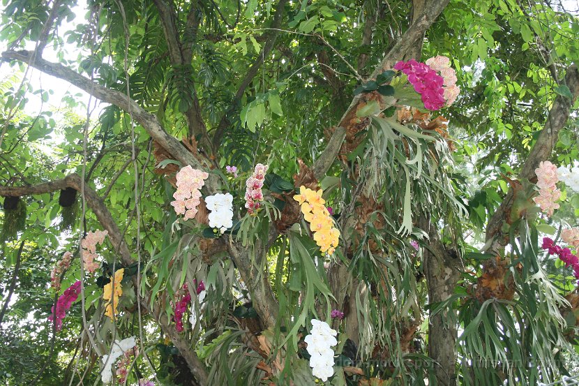 2015_Indonesien_03_034
