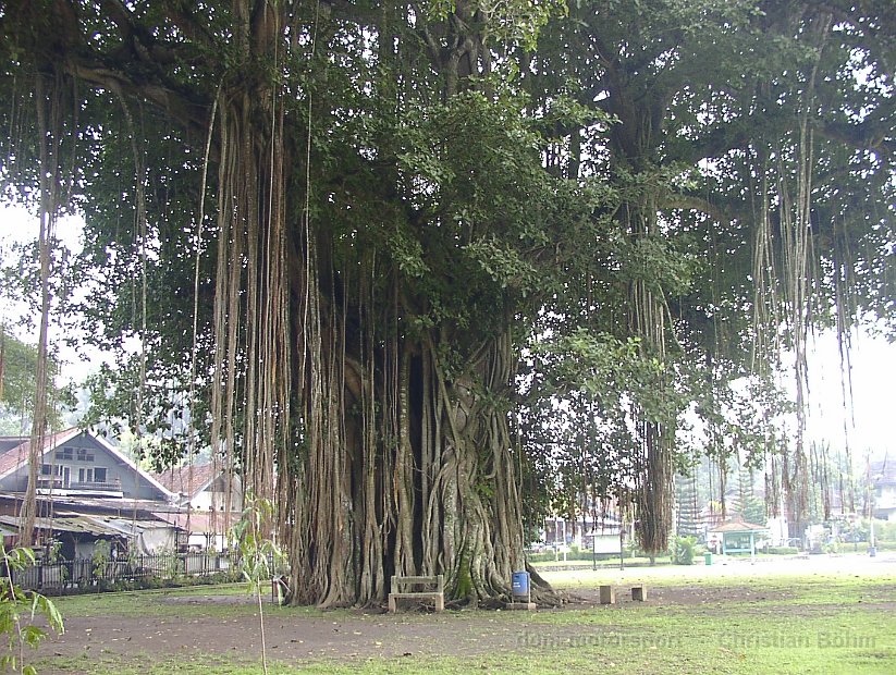 2015_Indonesien_05_118