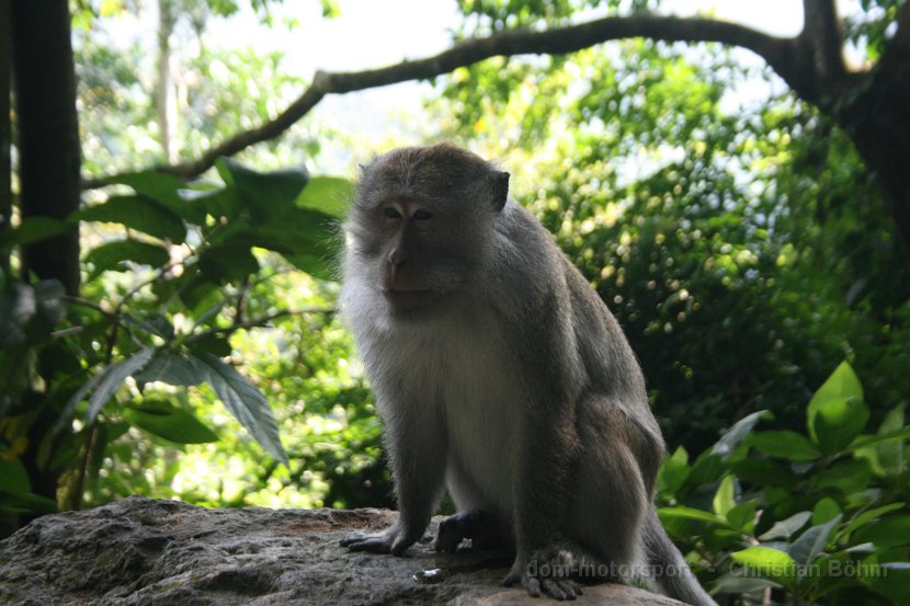 2015_Indonesien_16_009
