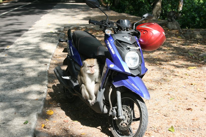 2015_Indonesien_16_041