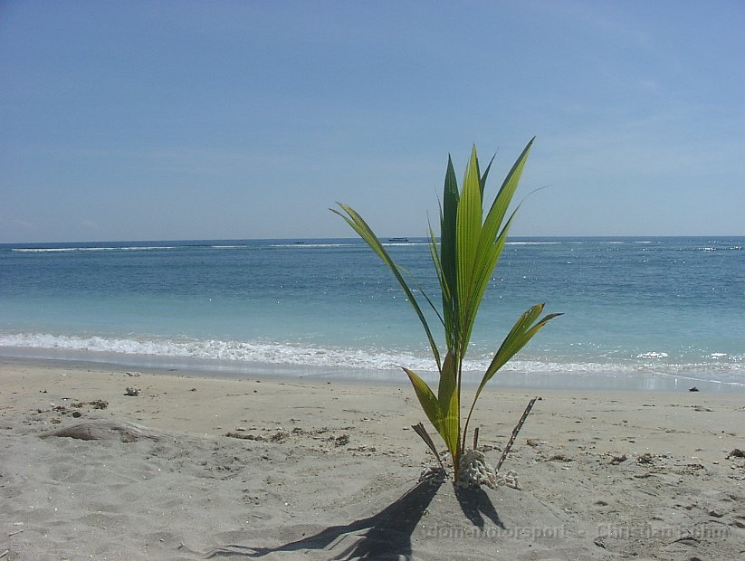 2015_Indonesien_21_007