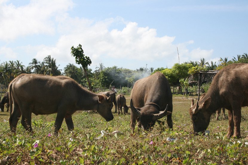 2015_Indonesien_22_017