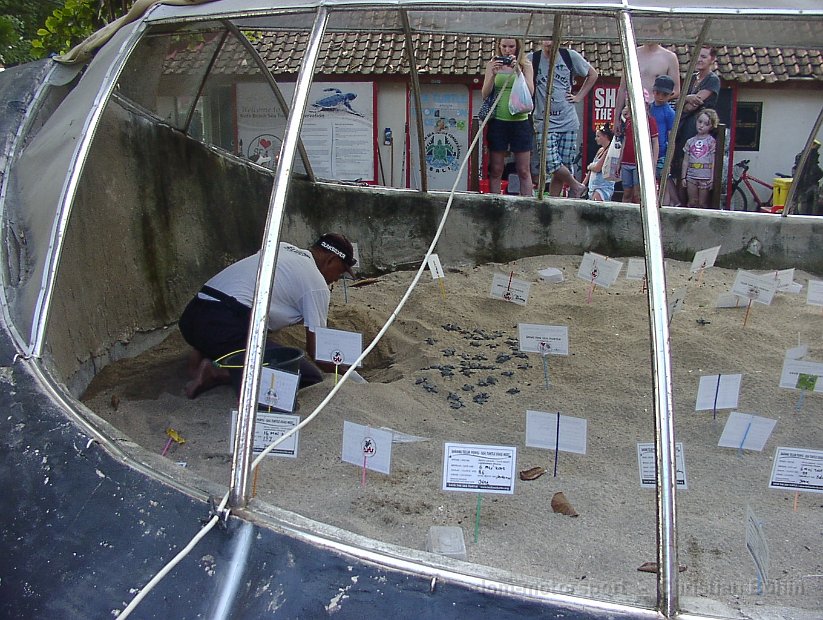 2015_Indonesien_23_053