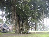 2015_Indonesien_05_118.JPG